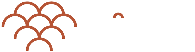 Logo Ziirom